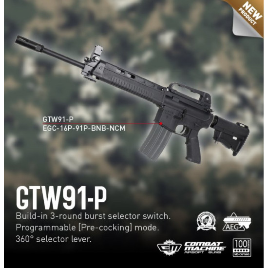 G&G GTW91-P TAIWAN AEG RIFLE [G2 SYSTEM]