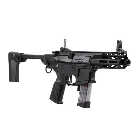 G&G ARP-9 3.0P Compact AR9 AEG Rifle w/ ETU & MOSFET [Polymer Handguard]